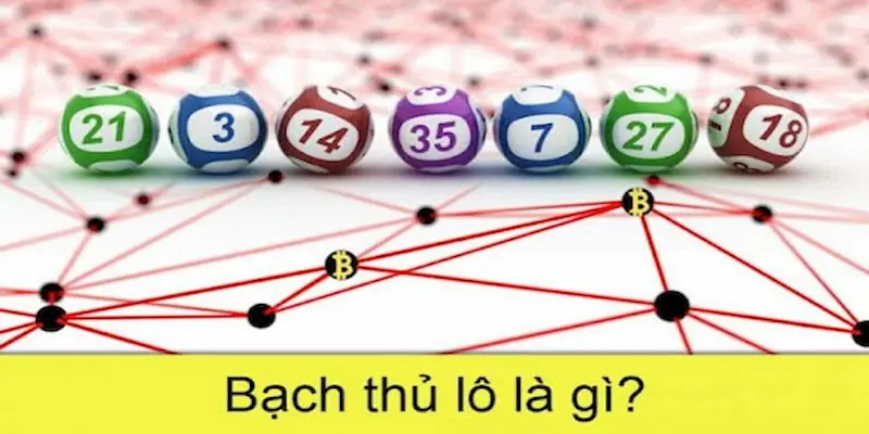 Bạch Thủ lô là gì